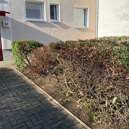 Mycha Ferienwohnung Гослар Екстер'єр фото