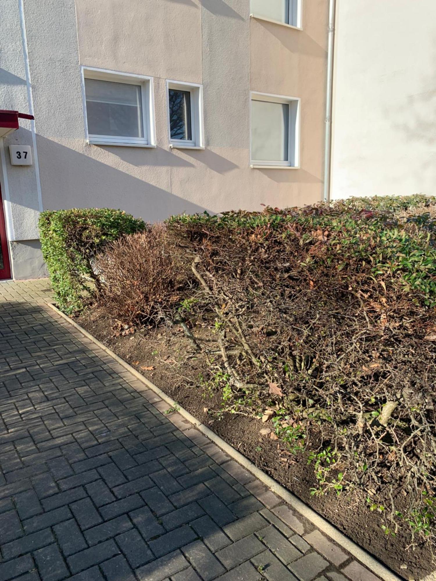 Mycha Ferienwohnung Гослар Екстер'єр фото